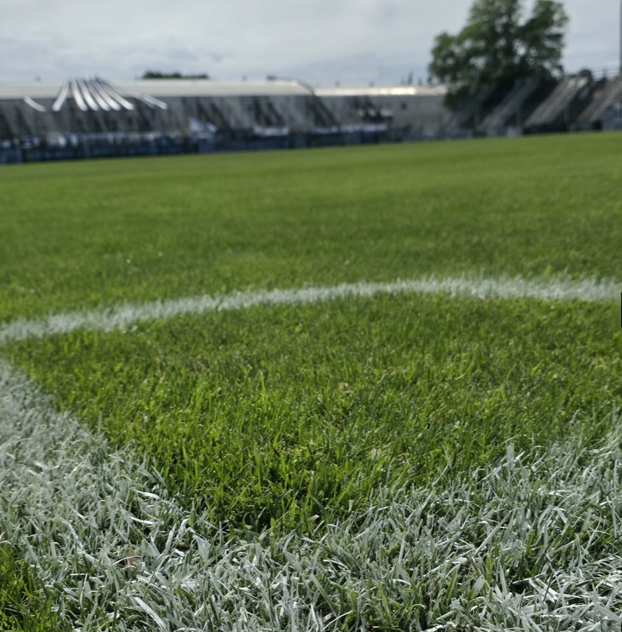 Federal A: el camino de Cipo y lo que viene.