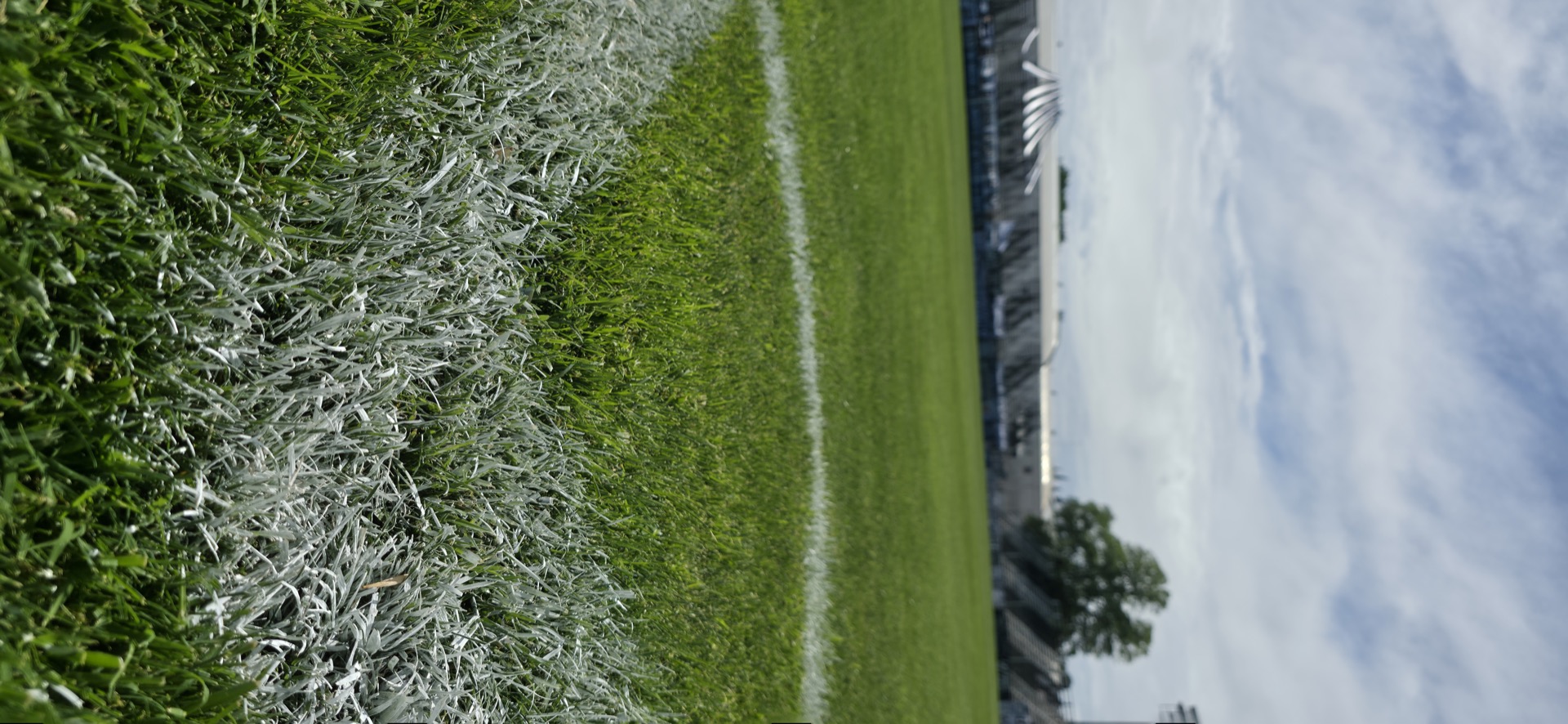 Federal A: el camino de Cipo y lo que viene.
